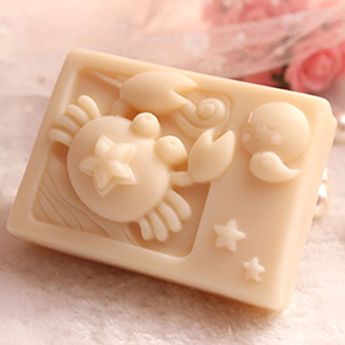 Rectangle Mould Silicone Handmade DIY Molds Soap Craft Art Mold Zodiac Cancer